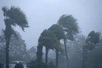 Palm trees are seen during Hurricane Michael in Panama City Beach, Florida, U.S. October 10, 2018. (Credit: Reuters/Jonathan Bachman) Click to Enlarge.