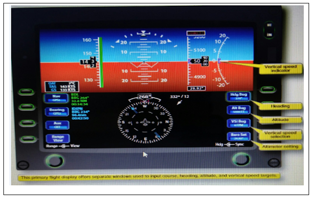 diagram of Entering goals in a primary flight display