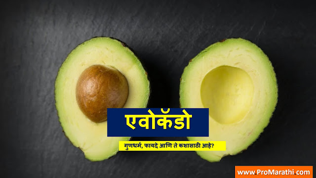 Avocado in Marathi