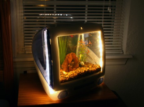   on Below To Learn How To Make A Fish Tank From Your Computer Monitor