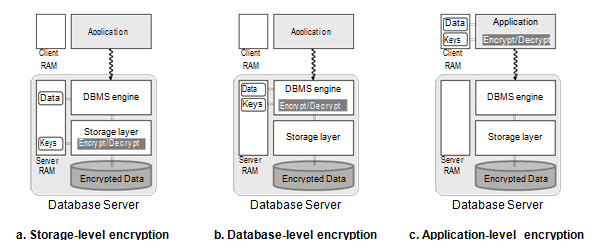 Database Encryption technique