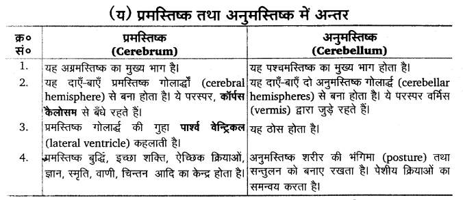 Solutions Class 11 जीव विज्ञान Chapter-21 (तन्त्रिकीय नियन्त्रण एवं समन्वय)