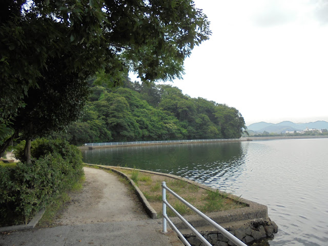 湊山公園岸辺の遊歩道