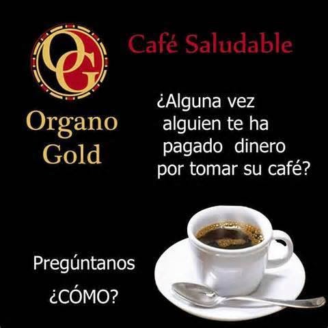 https://www.facebook.com/leireorganogold/timeline?ref=page_internal