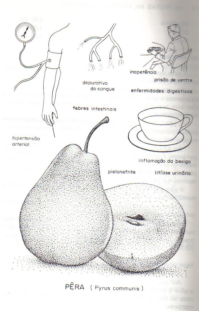 Inflamação de bexiga