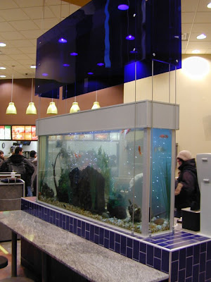 fish aquarium design