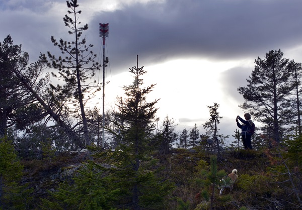 Kringsjå Gulsvik