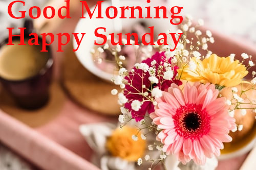 Good Morning Happy Sunday