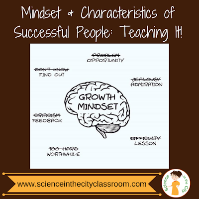 Mindset and Characteristics of Successful People: Teaching It!