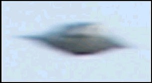 Bird Reported To Be UFO