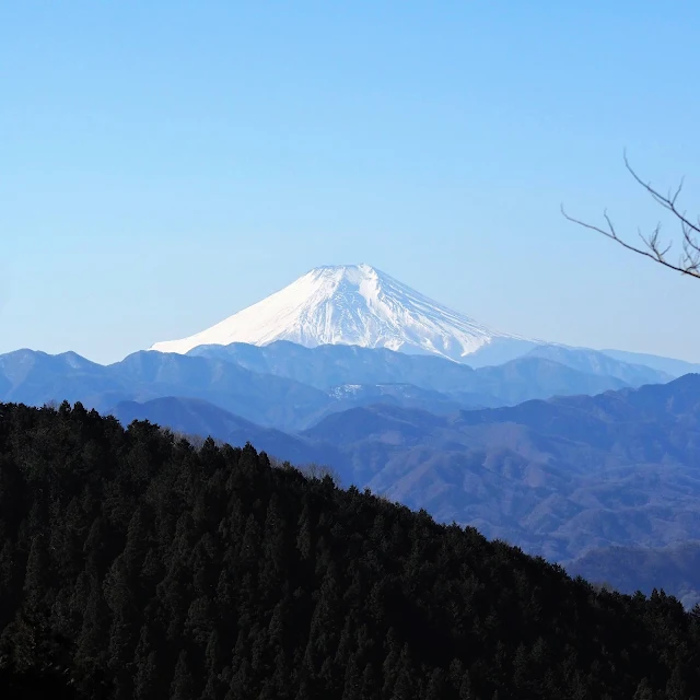 和田峠裏の富士山展望ベンチ