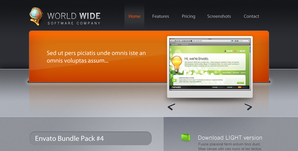 World Wide software company - ThemeForest Item for Sale