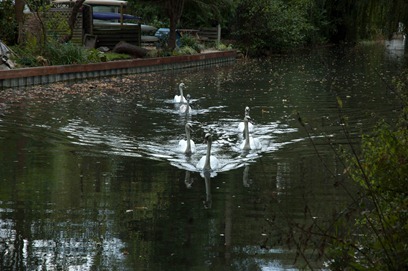 blog__DSC0607_8