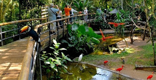 Parque das Aves - O local conta com 16,5 hectares de exuberante Mata Atlântica nativa, onde mantém mais de 1.320 aves, sendo cerca de 143 espécies diferentes. São aves dos quatro cantos do Brasil e aves exóticas de diversas partes do mundo, muitas delas ameaçadas.  Os visitantes podem entrar nos viveiros de imersão para sentir o bater das asas das vibrantes araras e olhar nos olhos de um tucano.