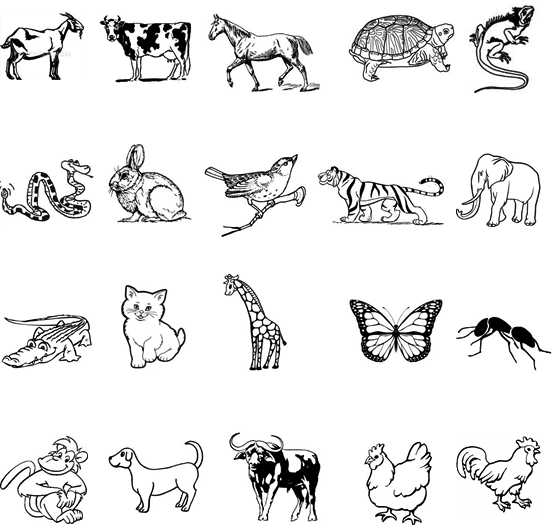 Download Modul Bahasa  Inggris  tentang Animal BAHASA  