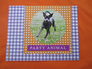 Birthday party invitation, Dog birthday, diy invitation 