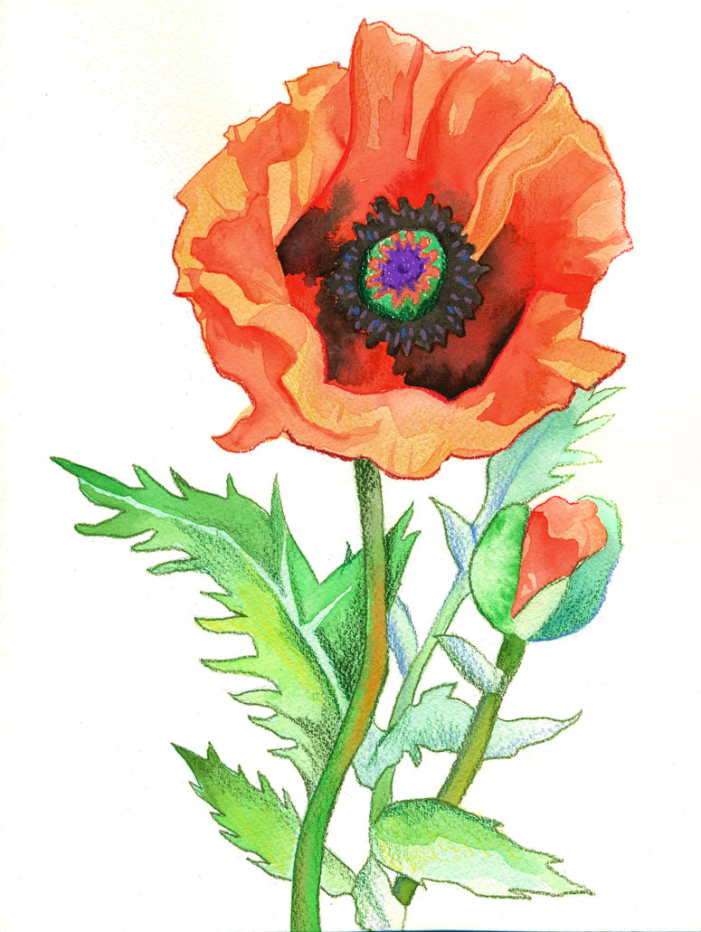 Poppy Crown Flower Tattoo