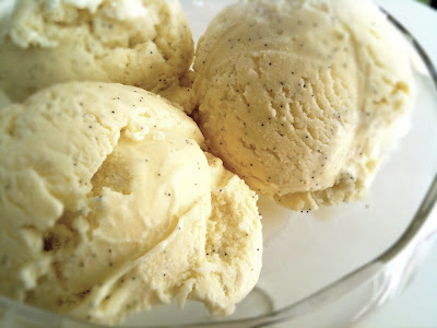 Vanilla Bean Ice Cream - Schwan's