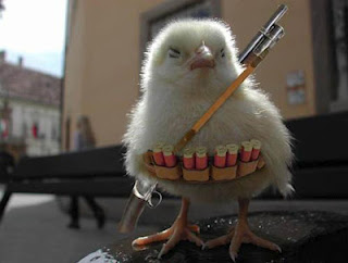 Funny Desktop Wallpapers Backgrounds, Funny Amazing Wallpaper  Funny Desktop Wallpapers Backgrounds, Funny Amazing Wallpaper  Funny Desktop Wallpapers Backgrounds, Funny Amazing Wallpaper  Funny Desktop Wallpapers Backgrounds, Funny Amazing Wallpaper  Funny Desktop Wallpapers Backgrounds, Funny Amazing Wallpaper  Funny Desktop Wallpapers Backgrounds, Funny Amazing Wallpaper  Funny Desktop Wallpapers Backgrounds, Funny Amazing Wallpaper  Funny Desktop Wallpapers Backgrounds, Funny Amazing Wallpaper  Funny Desktop Wallpapers Backgrounds, Funny Amazing Wallpaper    Funny Desktop Wallpapers Backgrounds, Funny Amazing Wallpaper      Funny Desktop Wallpapers Backgrounds, Funny Amazing Wallpaper