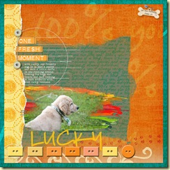 2009-7-3-DD-Lucky