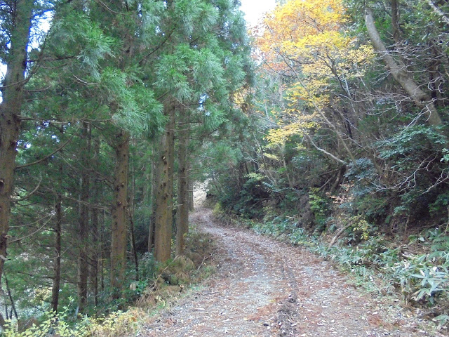 鈑戸山の登り口