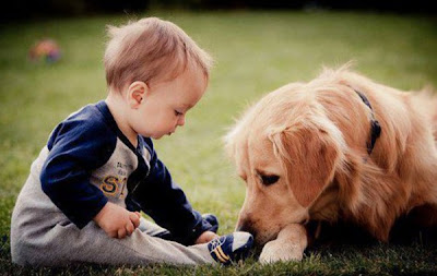 little baby boy kid with pet dog picture 