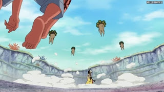 ワンピースアニメ 魚人島編 566話 緑星ヒューマンドレーク | ONE PIECE Episode 566