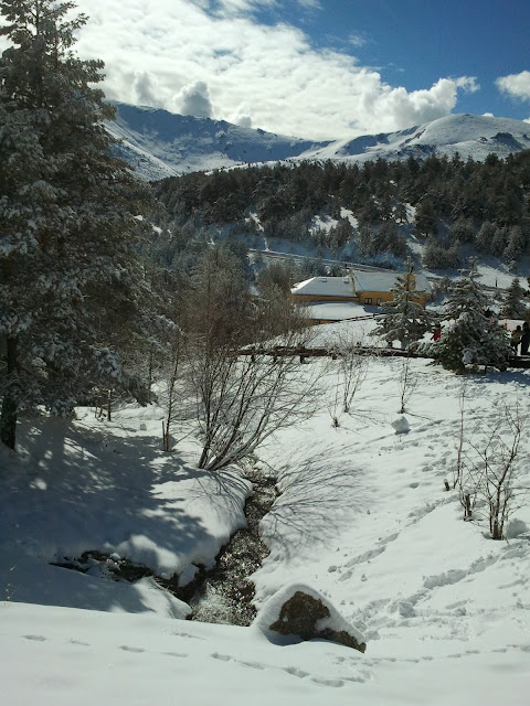 Tren de la Naturaleza. Excursiones Sierra de Madrid