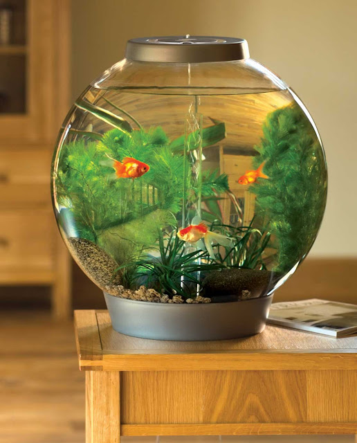 artistic fish tank ideas