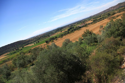 Paisaje entre Lleida y Balaguer