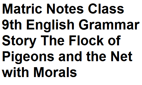 Matric Notes Class 9th English Grammar Story The Flock of Pigeons and the Net with Morals