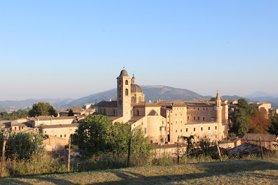 Urbino