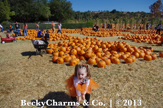 This Time Last Year - Bates Nut Farm Pumpkin Patch 2012 by BeckyCharms & Co.