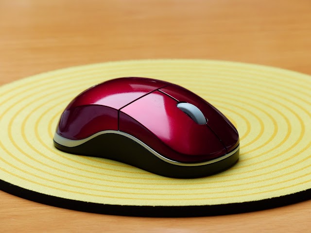 Functions of computer mouse,Digital Camera,Microphone and Scanner