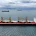 Many may die after Black Sea grain deal ends: UN