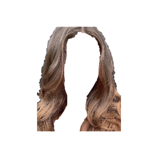 Best Hair PNG Download