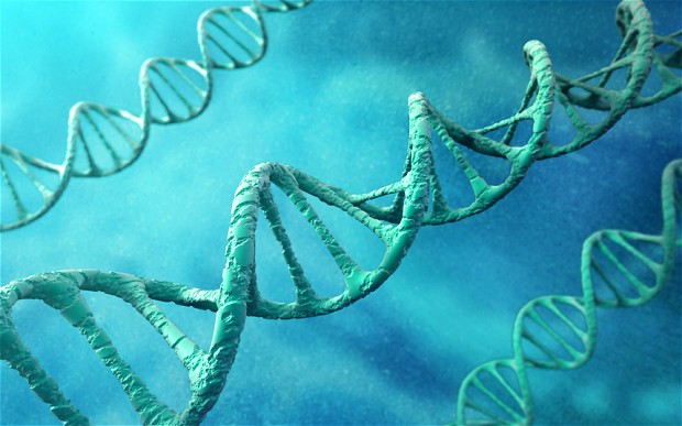 DNA Test Locations Perform Useful Social Functions World Wide