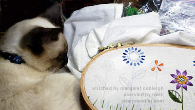 Siamese kitten helping with embroidery