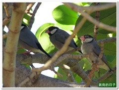 20130603_013422_020_Hawaii