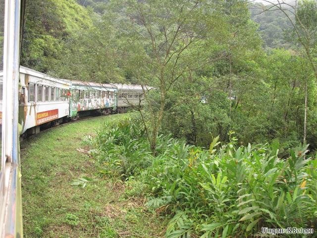 Passeio de trem pela Serra do Mar paranaense