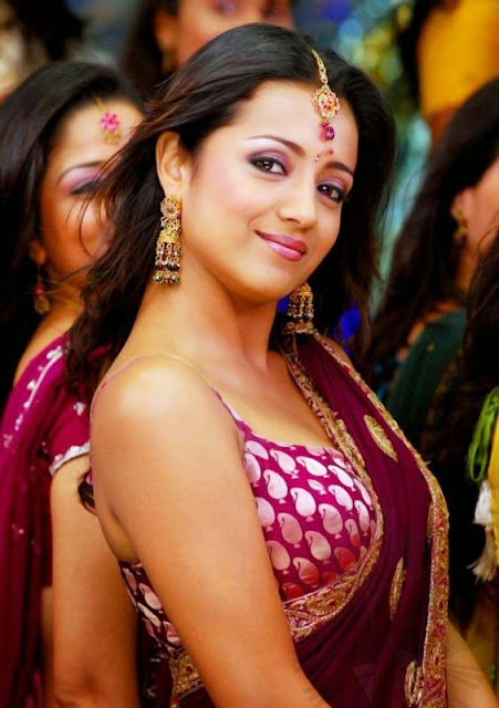 Pics of Hot Trisha In Saree