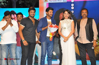 turodu Telugu Movie Audio Launch Stills  0020.jpg