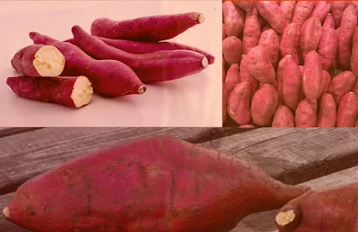 How to make noodles from red sweet potatoes, Nutritional Benefits of  (red yams)