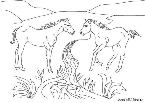 Two Horses Coloring Pages Hellokids Com