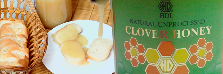 Manajemen Pencernaan dengan Clover Honey