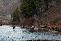 Fishing Provo River