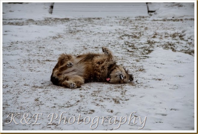 JANUARY 2015 (1 of 4)