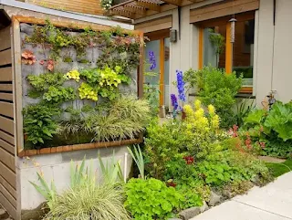 Creative ideas to transform the garden on a budget this year