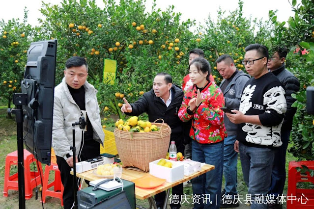 Online live streaming to help farmers sell Deqing tribute tangerines