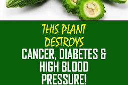 This plant destroys Cancer, Diabetes And High Blood Pressure!